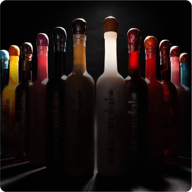 Photo & Video Production